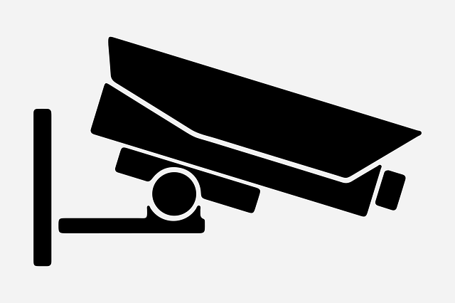 无版权图 无版权图